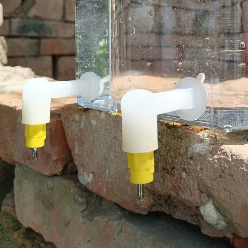 Bebedouro Niple para Aves e Roedores para Gaiola Fácil Instalação - Imagem 6