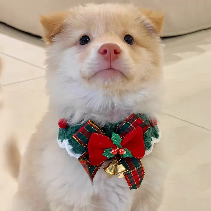 Colar Gravata Borboleta para Gatos e Cães Pequenos de Crochê - Imagem 4