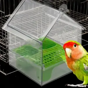 comedouro para pássaros transparente removível