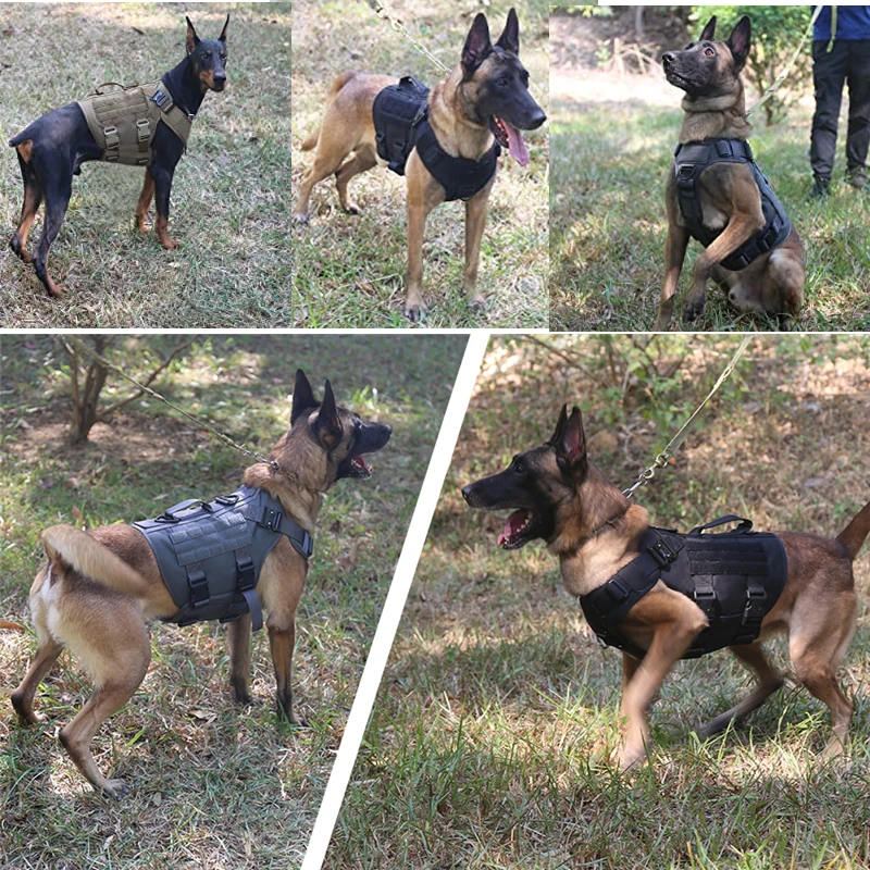 Colete Tático para Cães de Nylon 1000D com Fivelas de Metal - Imagem 5