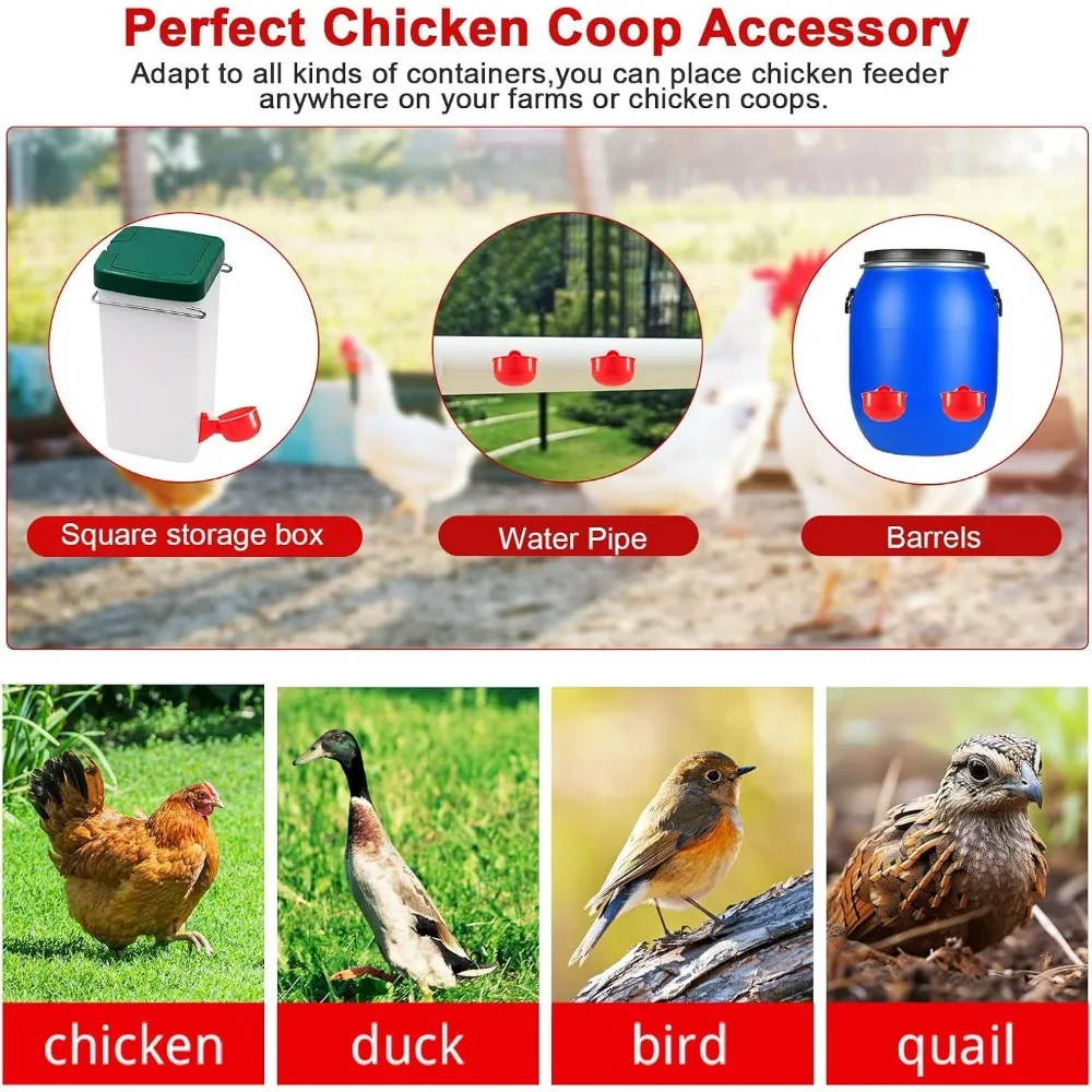 Bebedouro Automático para Aves Suspenso com Abastecimento Contínuo - Imagem 3