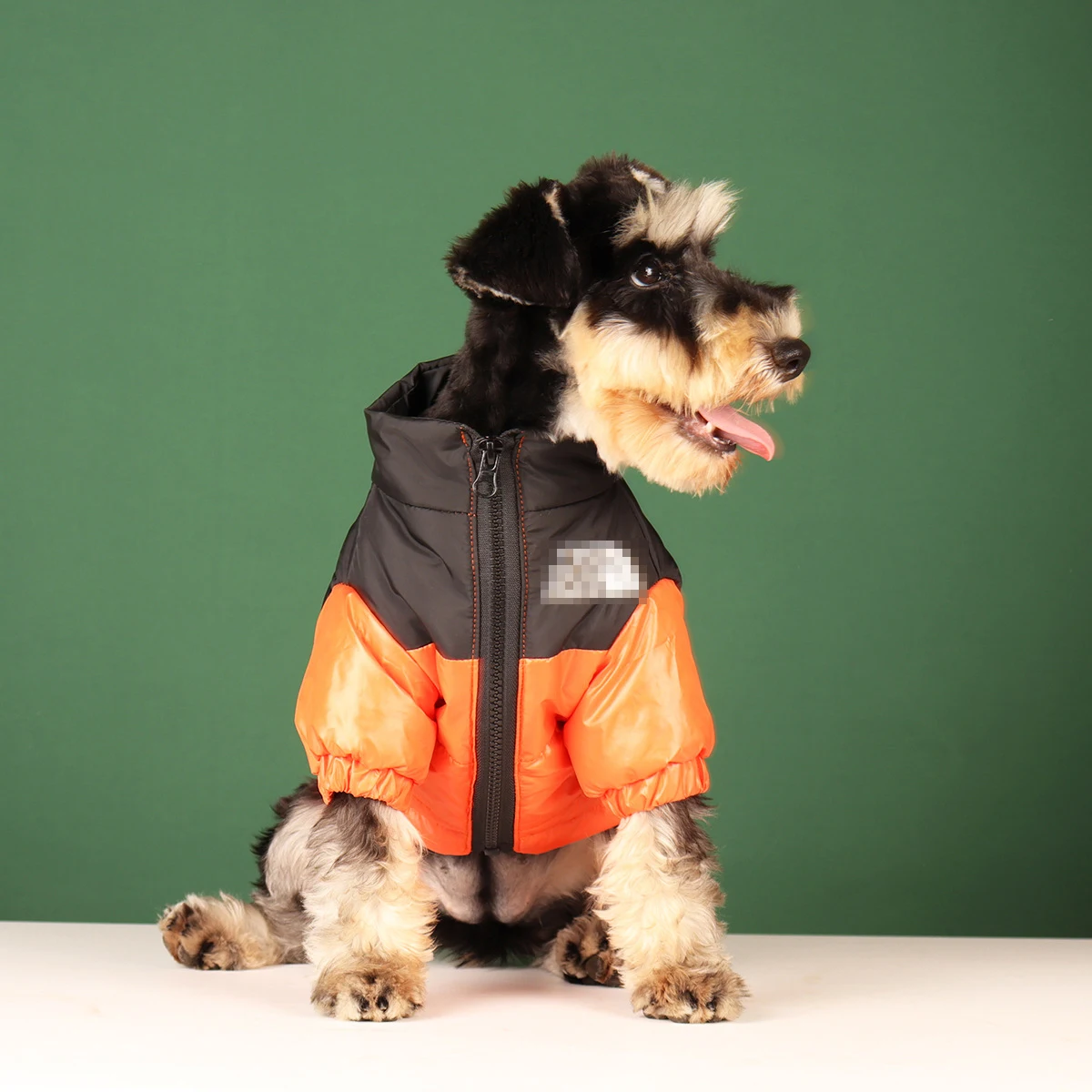 Casaco para Cães de Poliéster com Camada Interna Espessada - Imagem 6