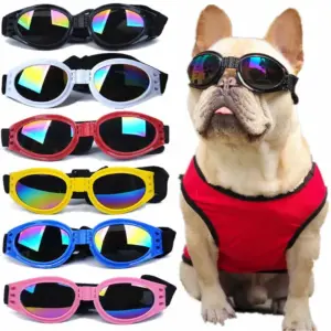óculos dobráveis para cães e gatos