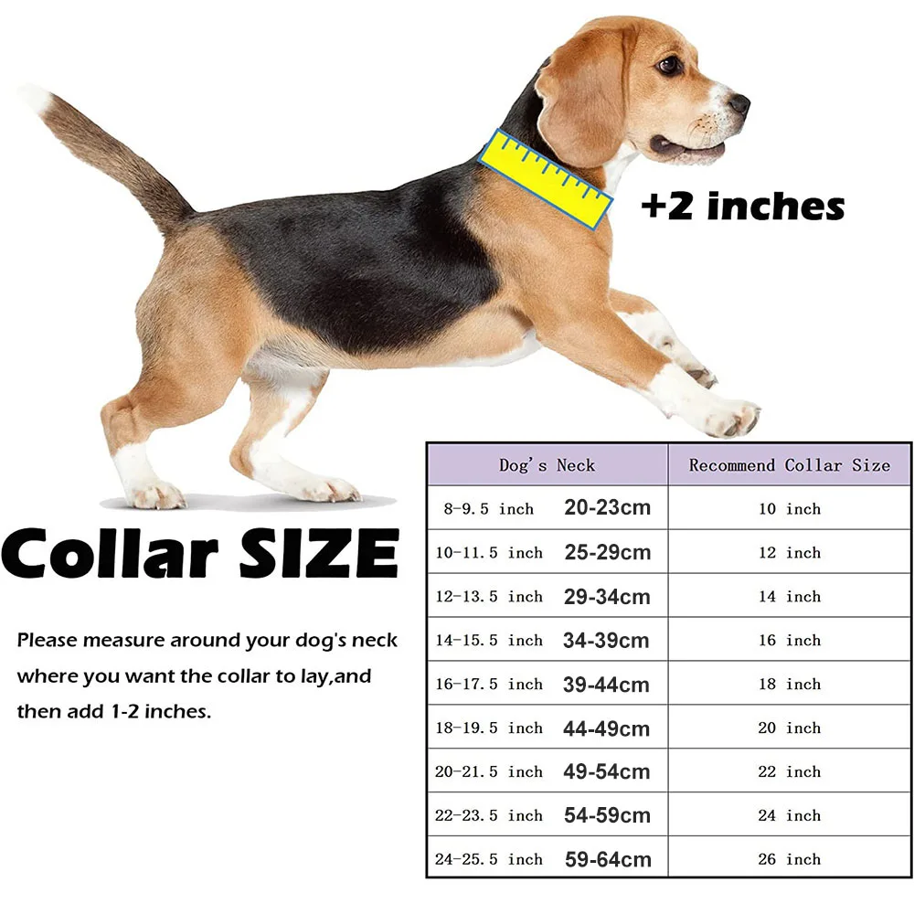 Coleira Cubana de Aço Inoxidável para Cães com Fivela de Segurança - Imagem 6