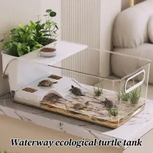 terrário transparente para tartarugas