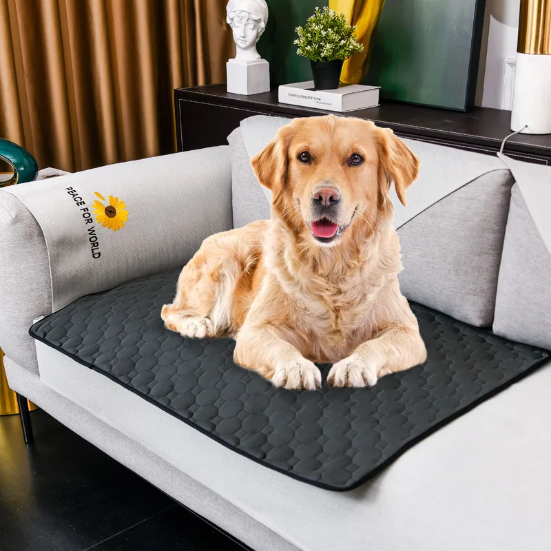 Tapete Higiênico Lavável para Cães com Base Antiderrapante - Imagem 6