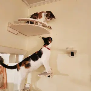 prateleira de canto para gatos de madeira