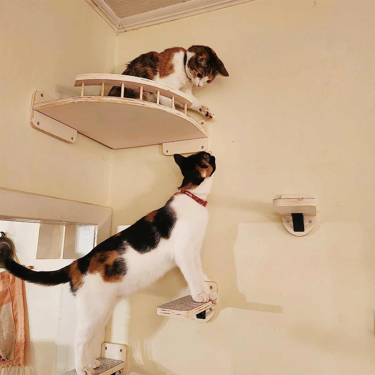 prateleira de canto para gatos de madeira