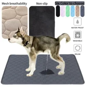 tapete absorvente reutilizável para cães