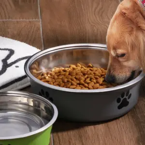 tigela de aço inoxidável para cães e gatos