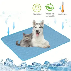 esteira de resfriamento para cães e gatos