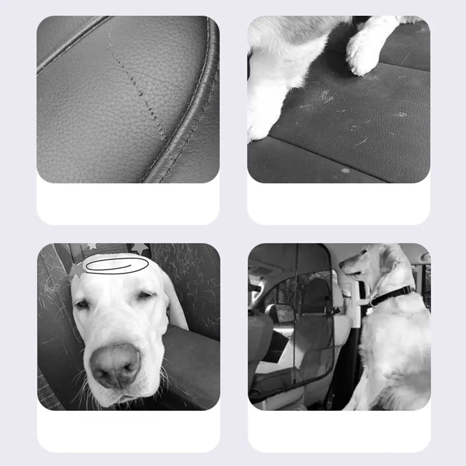 Cesta de Transporte para Cães e Gatos Anti-Riscos Impermeável - Imagem 4