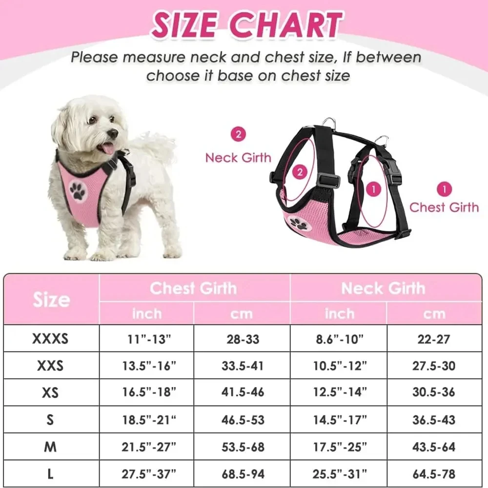 Cinto de Segurança para Cães Ajustável com Elástico - Imagem 3