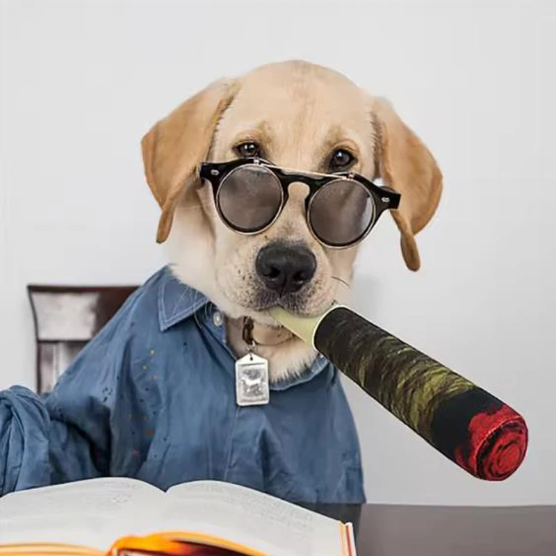 Brinquedo de Pelúcia para Cães com Som para Pequenos e Médios - Imagem 5