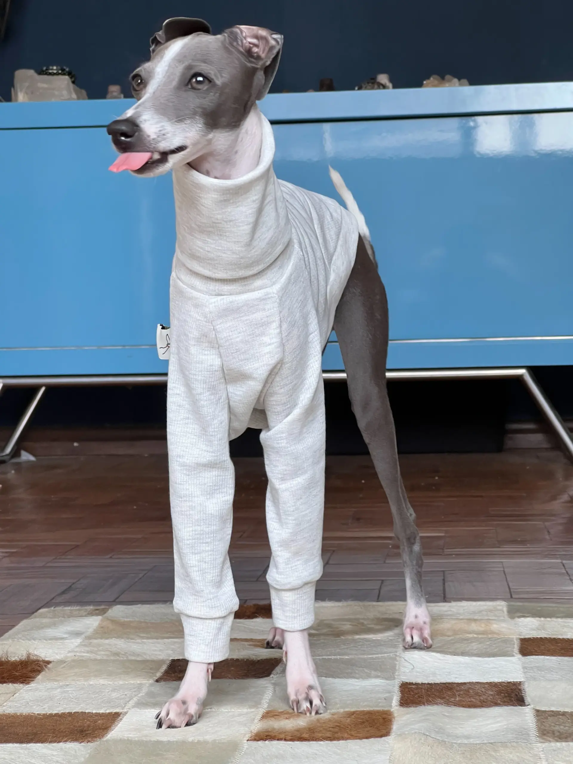 Roupa Biped Algodão Cinza para Whippet e Galgo Italiano - Image 5