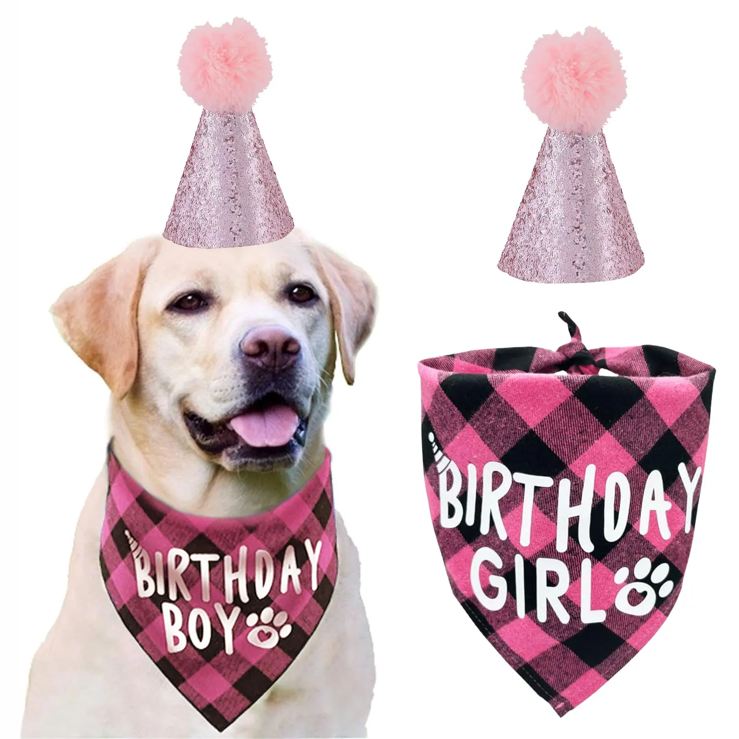 Kit Aniversário para Cães Médios e Grandes com Bandana e Chapéu Ajustável - Imagem 4