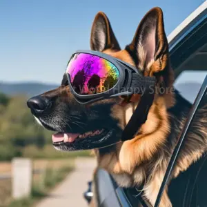 óculos de sol para cães com proteção uv