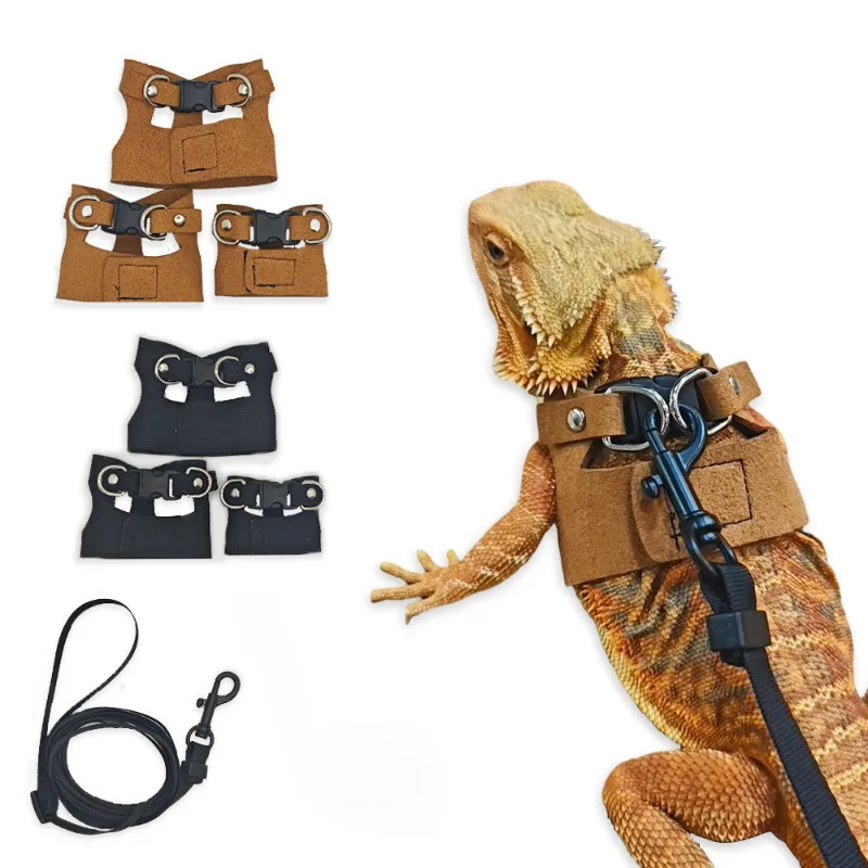 conjunto de guias para lagarto e camaleão