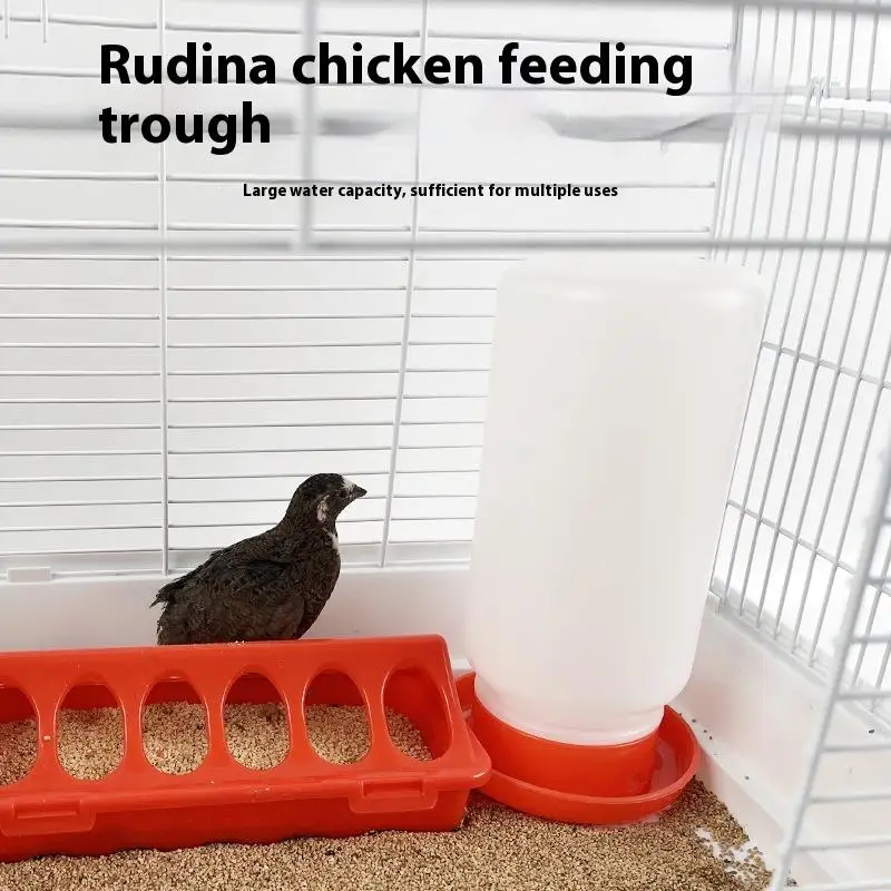 alimentador e bebedouro automático para aves
