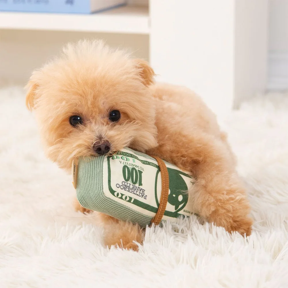 Brinquedo Sonoro para Cães e Gatos em Forma de Dinheiro - Imagem 6