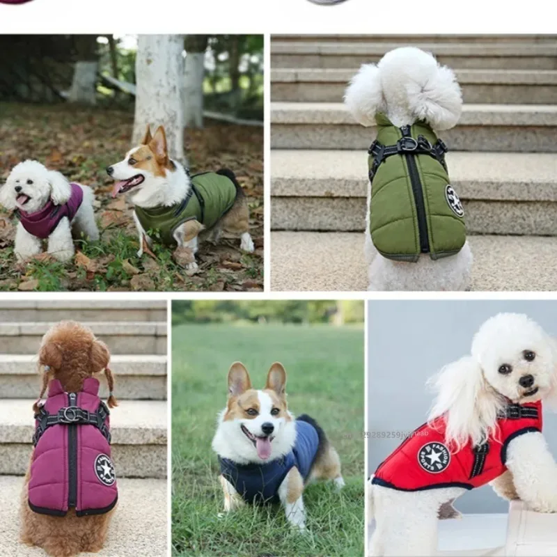 Colete Impermeável para Cães com Arnês Integrado para Passeio - Imagem 6