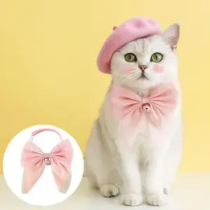 coleira para gatos com laço de fita