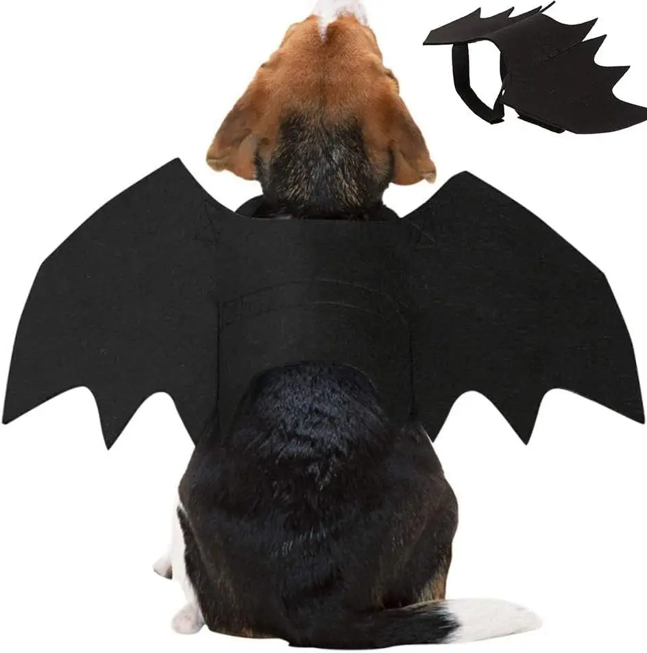 Asas de Morcego para Gatos de Feltro com Ajuste em Velcro para Fantasia - Image 3