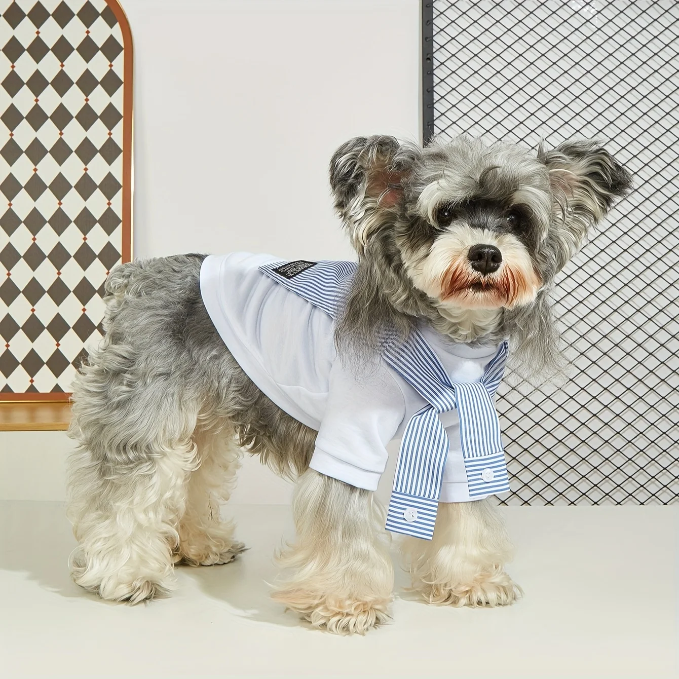 Camiseta para Cães Pequenos e Médios com Medidas para Chihuahua - Imagem 3