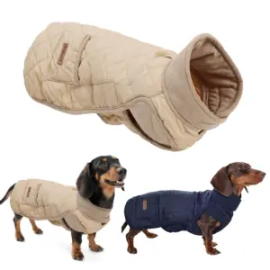 jaqueta para cães dachshund repelente à água