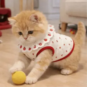 colete para gatos e cães pequenos