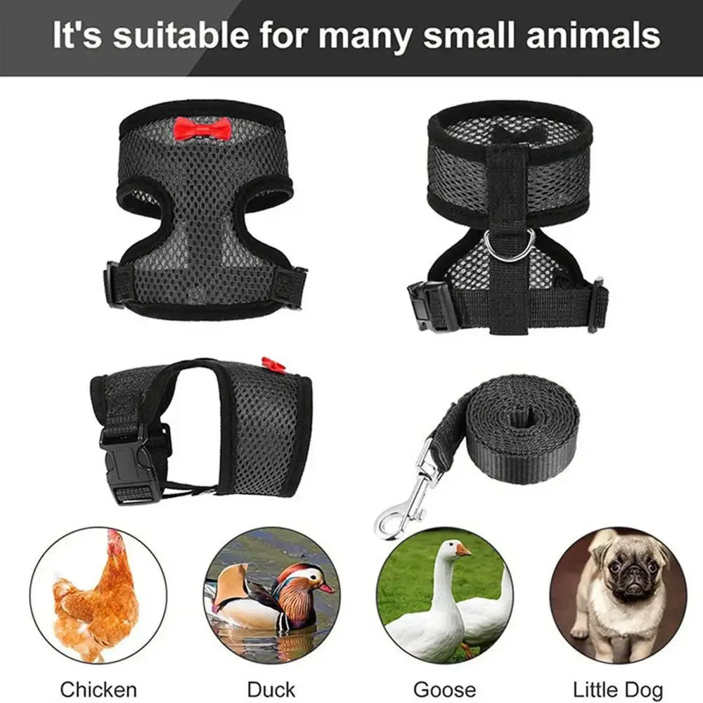 Colete para Aves Poliéster Ajustável M para Peito de 37,8 a 47,8 cm - Imagem 4