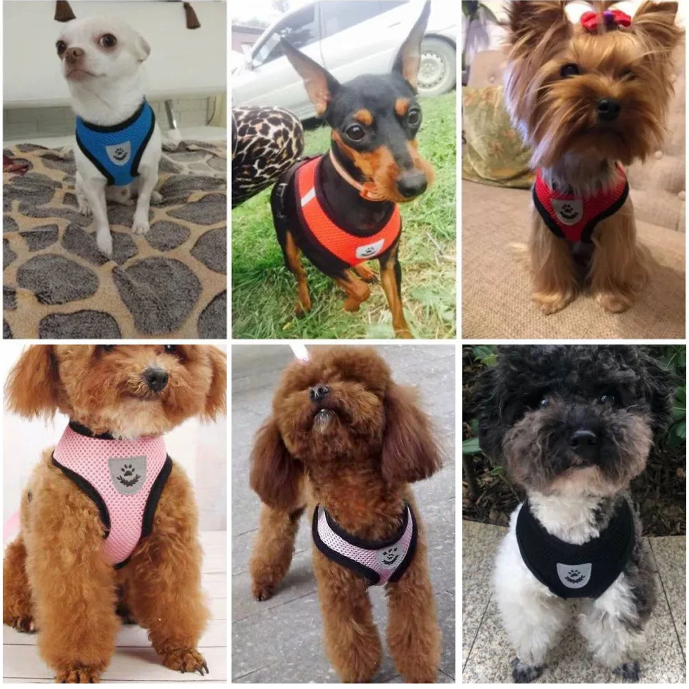 Peitoral para Cães e Gatos de Malha Respirável com Ajuste - Imagem 6