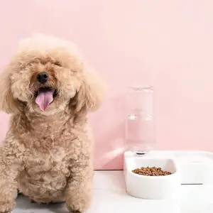 comedouro duplo para cães e gatos pequenos