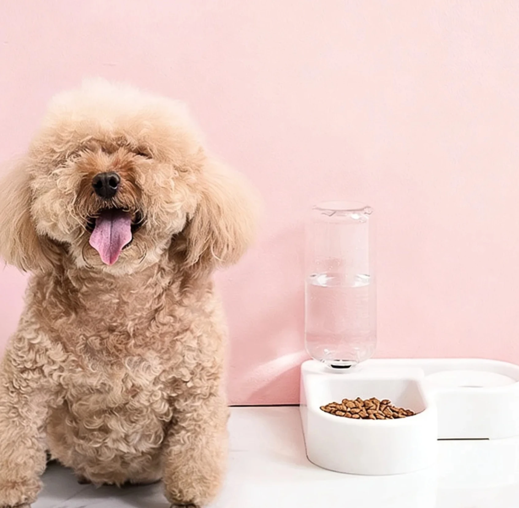 comedouro duplo para cães e gatos pequenos