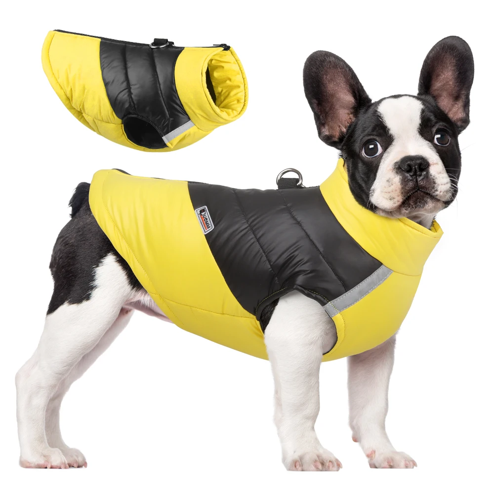 jaqueta impermeável para cães