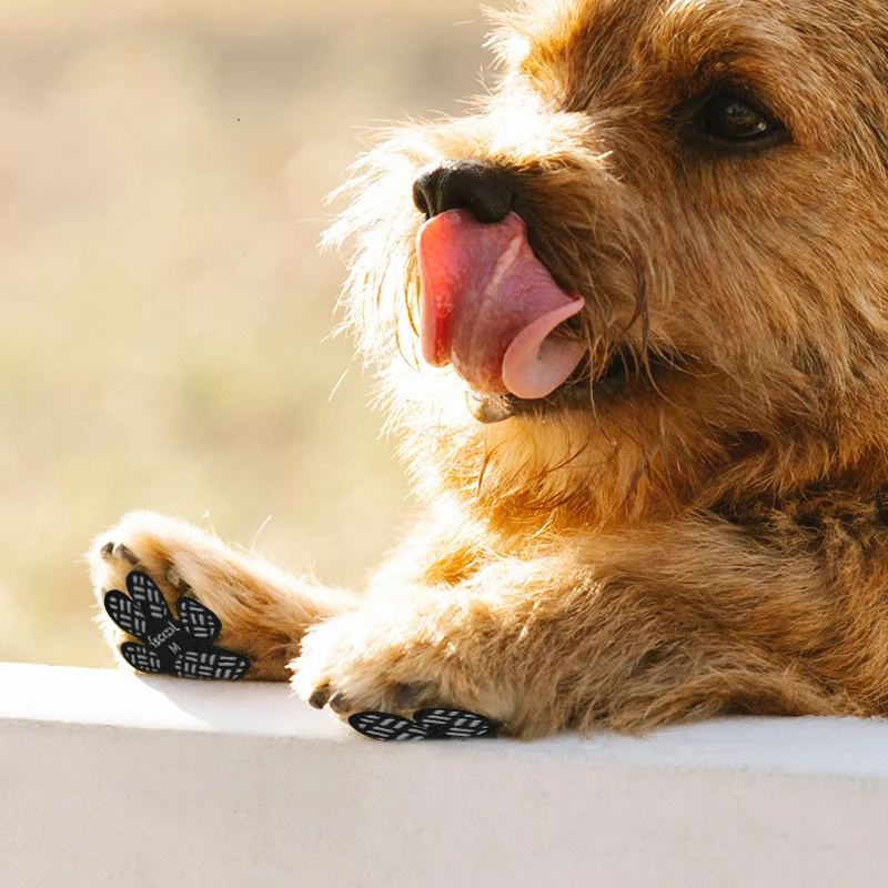 Adesivos de Pata Antiderrapantes para Cães, 4 Pacotes, Proteção para Patas em Pisos Duros - Imagem 5