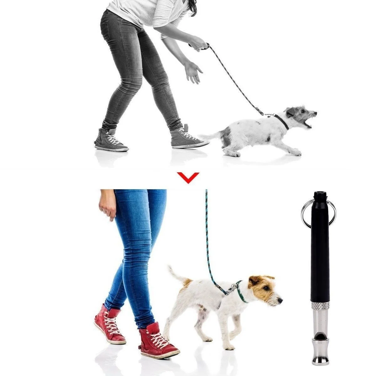 Apito para Cães de Metal 80 mm com Argola para Chaveiro - Imagem 4