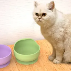 tigela de silicone para cães e gatos