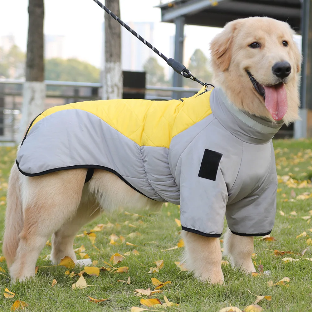 macacão impermeável para cães grandes