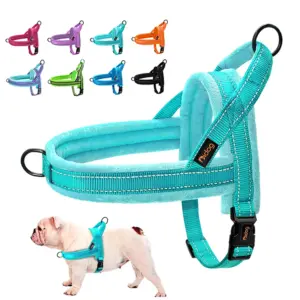 colete arnês para cães de inverno