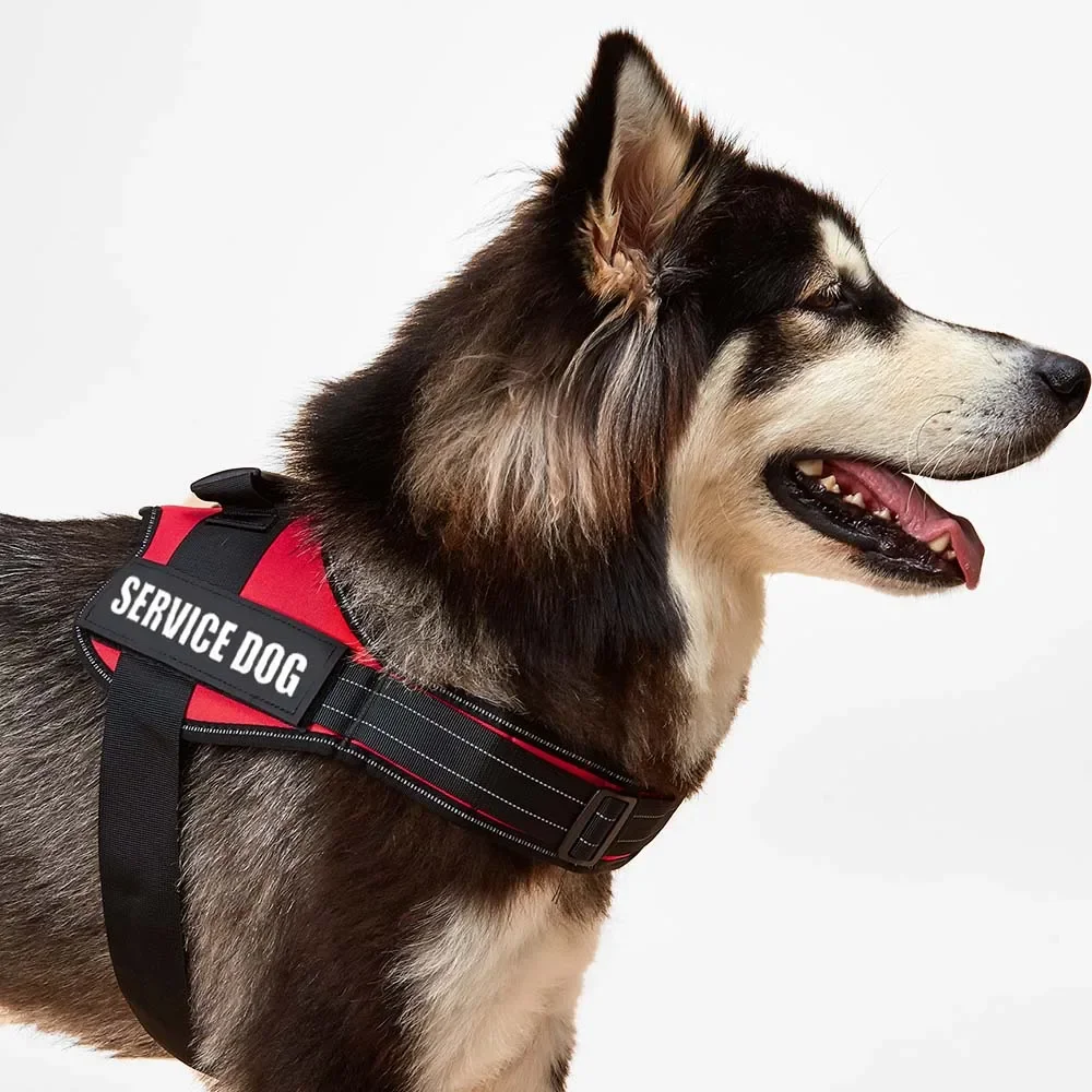 Coleira Peitoral para Cães de Serviço com Patches Personalizados - Imagem 4