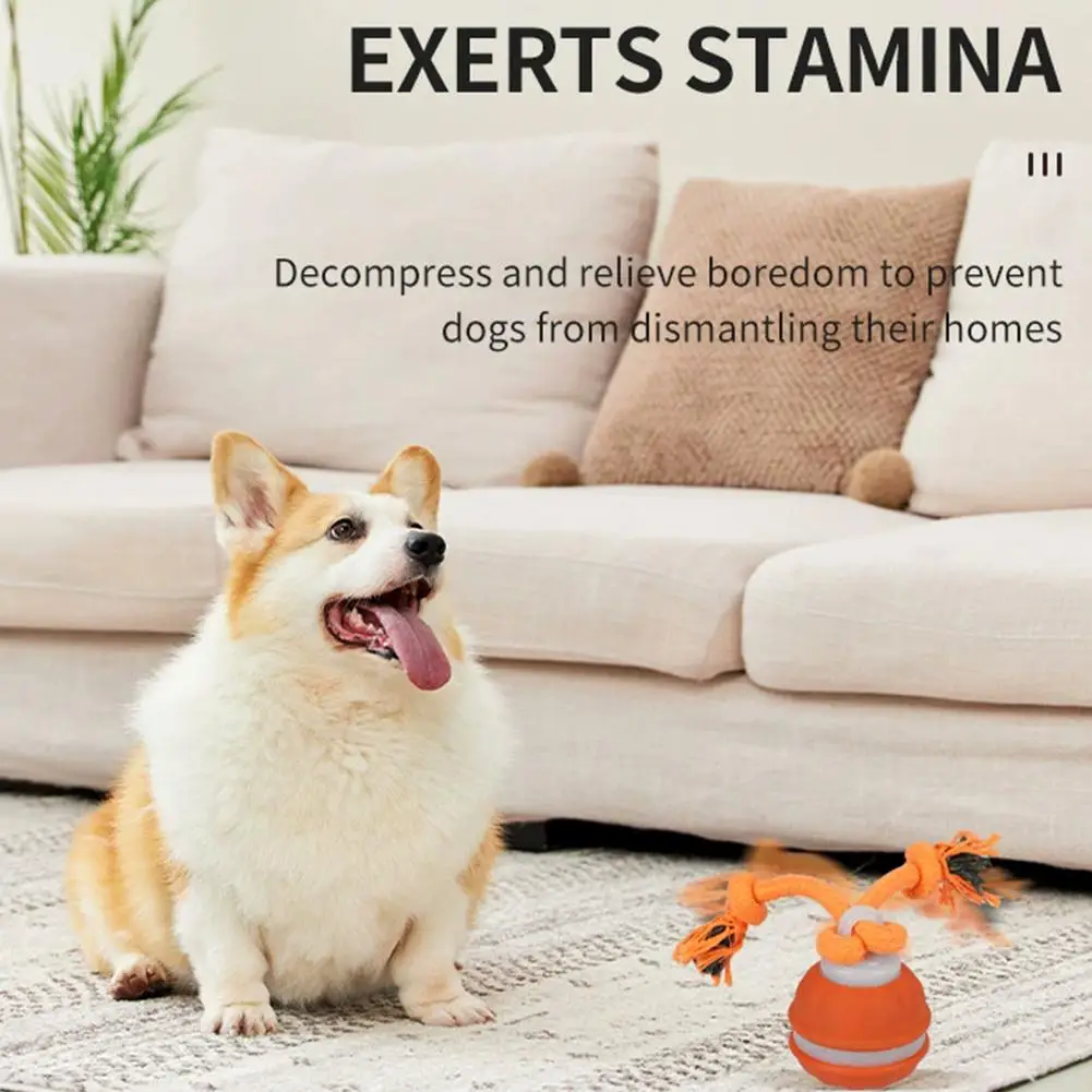 Bola Interativa para Cães e Gatos com Corda Azul Recarregável USB - Image 4