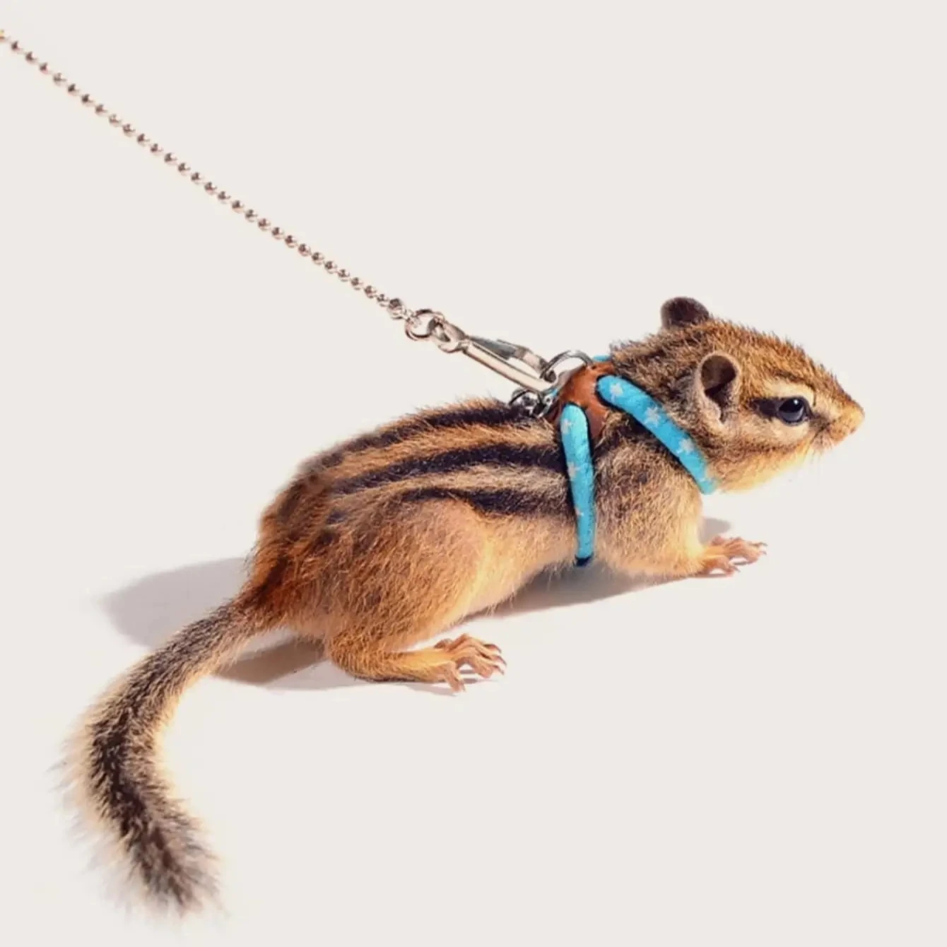 coleira e arnês para hamster