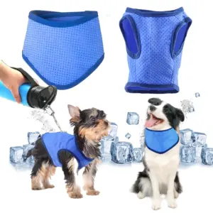 coleira refrescante para cães
