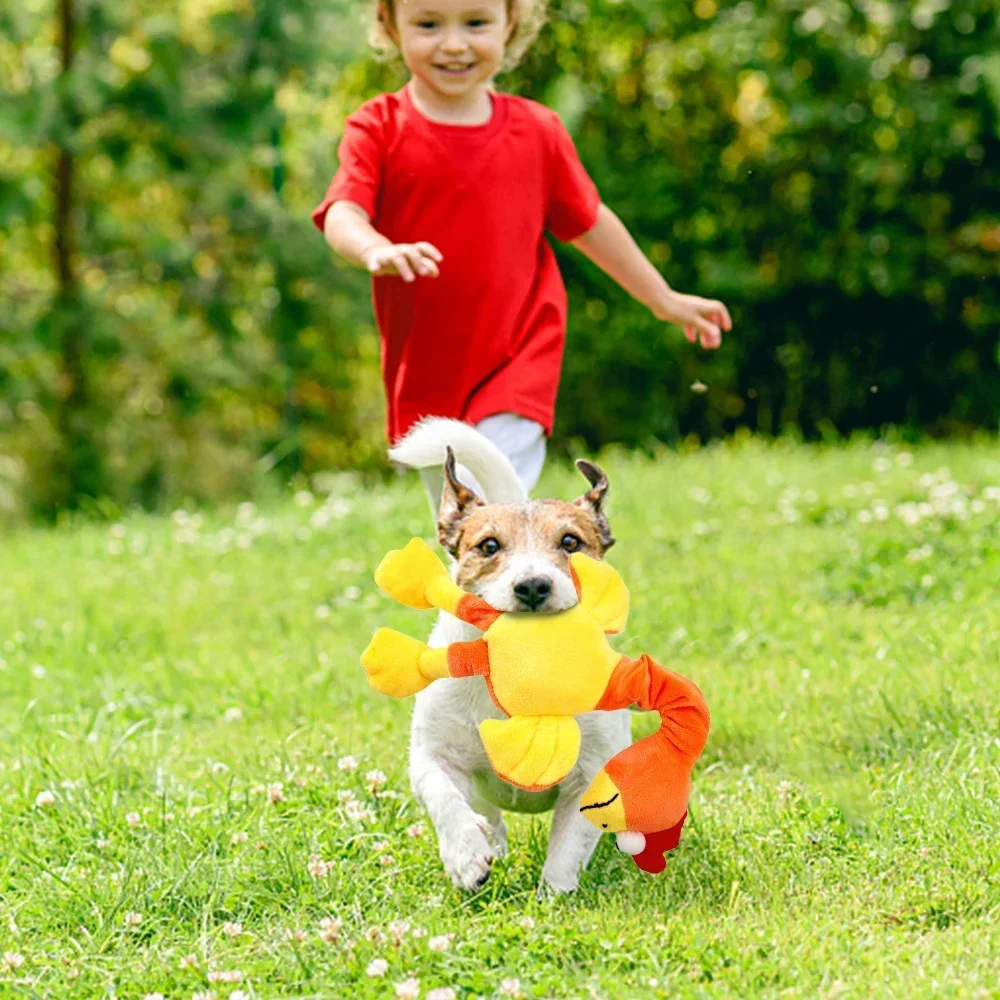 Brinquedo para Cães Galinha Gritante Interativo Resistente a Mordidas - Imagem 6
