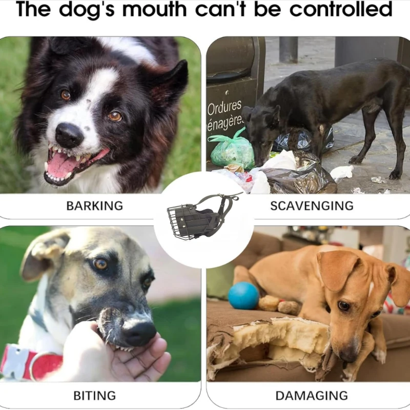 Focinheira Ajustável para Cães de Aço Inoxidável com Fivela - Image 2