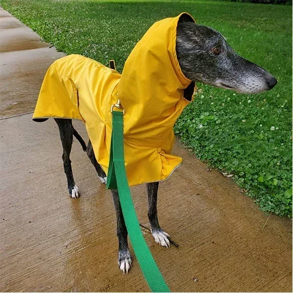 Casaco para Cães Galgos Ajustável com Lã e Impermeável - Imagem 3