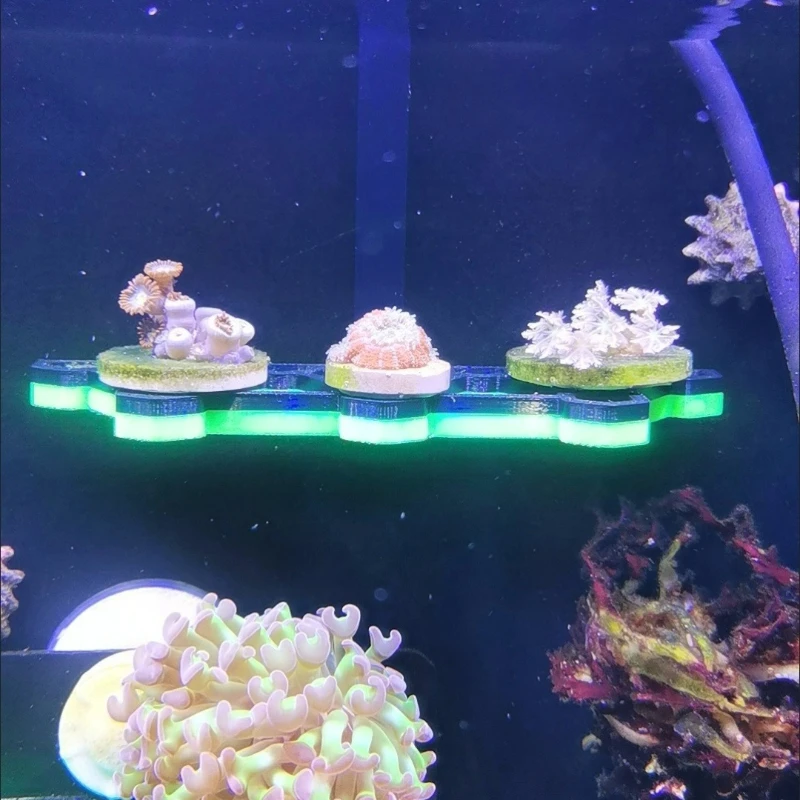 Suporte de Coral para Aquário com Gancho para Vidro de 4-15 mm - Imagem 4