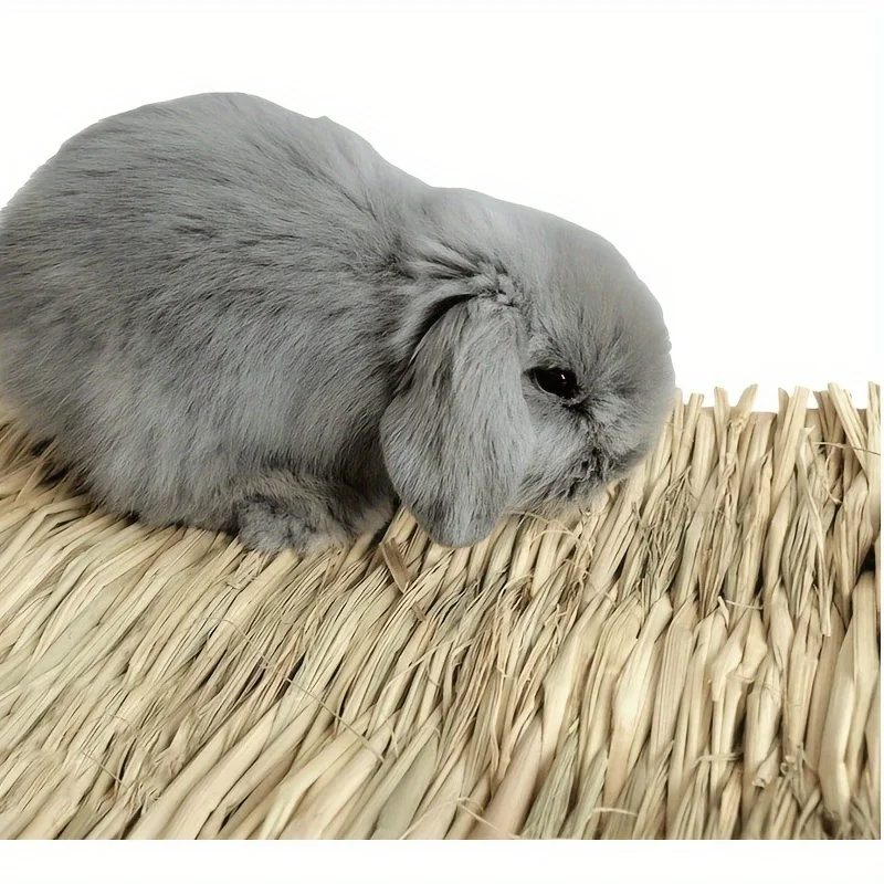 Kit 3 Esteiras de Grama para Hamster e Porquinho-da-Índia Feito à Mão - Imagem 4