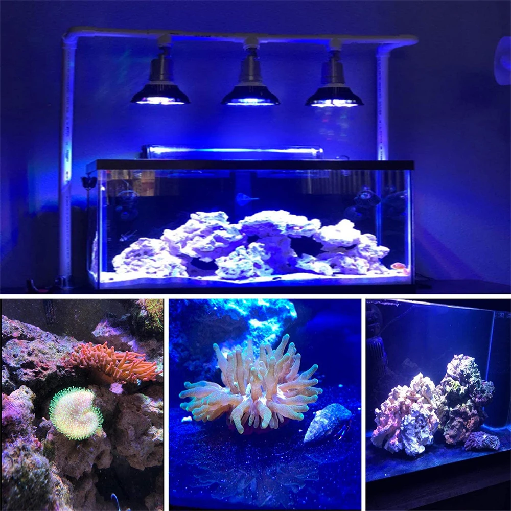 Lâmpada LED para Aquário PAR38 54W Bivolt Espectro Completo - Imagem 6